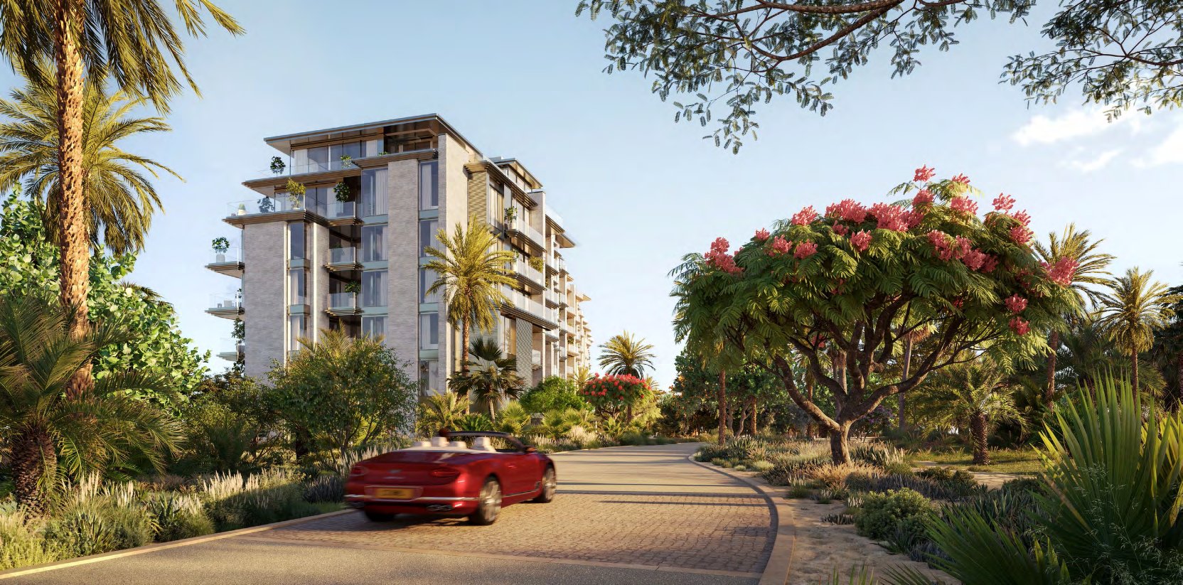 Solaya building seen from a palm-lined driveway with flowering trees